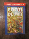 Focul de paie - Dumitru Popescu