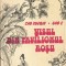 Visul din Pavilionul Rosu - Cao Xueqin, Gao E