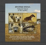 GAMBIA 2017 FAUNA HIENE