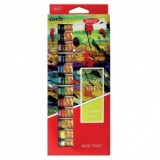 Culori ulei 12 culori DACO