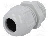 Presetupa poliamida, PG13,5, IP68, LAPP - 53018030