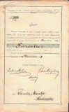 A3698N Decret de numire &icirc;n funcția de forestier, 1907, Caransebeș, semnat olograf de Patriciu Dragalina