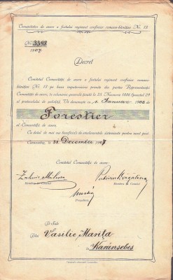A3698N Decret de numire &amp;icirc;n funcția de forestier, 1907, Caransebeș, semnat olograf de Patriciu Dragalina foto