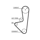Curea distributie Citroen: Berlingo (M), C2 (Jm), C3 1 (Fc), C3 2 (Sc), Saxo (S0); Peugeot: 106 2 (1a), 206 (2a/C), 206+ (2l), Partner (5), 1.1 i, 1.