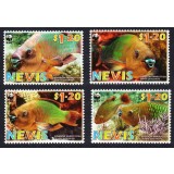 NEVIS 2007 WWF PESTI