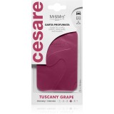 Mr &amp; Mrs Fragrance Cesare Tuscany Grape etichetă parfumată pentru ușă 1 buc