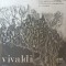 Disc vinil, LP. Concerte Pentru Viori, Violoncel si Orchestr&amp;#259; De Coarde-VIVALDI-252606
