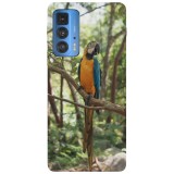 Husa compatibila cu Motorola G100 model Macaw parrot, Silicon, TPU, Viceversa, Transparent, Carcasa