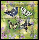 RUSIA 2025 FAUNA FLUTURI
