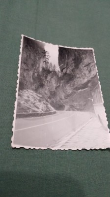FOTO TIP 9/6 foto