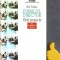 Consiliul director Ghid propus de The Economist Books Bob Tricker
