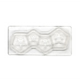 Matrita Unghii 3D Mold Silicon Stea