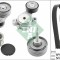 INA 529 0519 20 Set curea transmisie cu caneluri