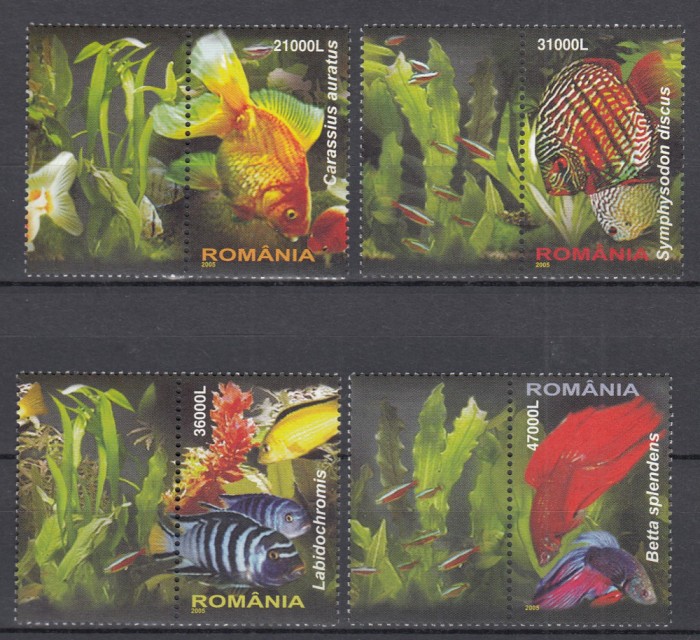 ROMANIA 2005 LP 1676 a PESTI EXOTICI SERIE CU VINIETA MNH