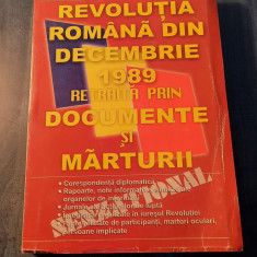 Revolutia Romana din decembrie 1989 retraita prin documente Constantin Sava