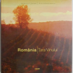 Romania. Tara vinului – Valeriu V. Cotea, Florin Andreescu