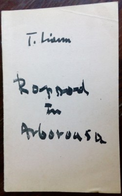 TEOFIL LIANU: RAPSOD IN ARBOROASA (ultim volum antum/Campulung Moldovenesc 1995) foto