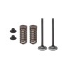 Set supape otel + arcuri evacuare Honda CRF 250R 16-17