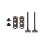 Set supape otel + arcuri evacuare Honda CRF 250R 16-17