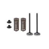 Set supape otel + arcuri evacuare Honda CRF 250R 16-17