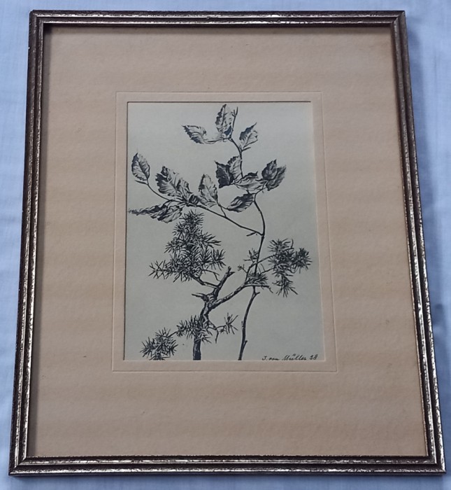 Vintage, obiect de colectie