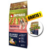 ONTARIO Puppy &amp;amp; Junior Large chicken &amp;amp; potatoes 12kg + 2,25kg GRATUIT