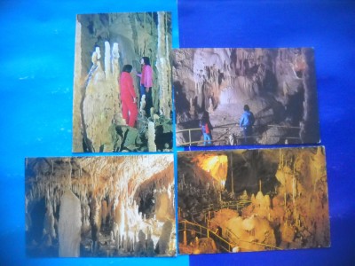 HOPCT LOT 2752 PESTERA URSILOR -JUD BIHOR-4 CARTI POSTALE-NECIRCULATE foto