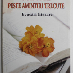 URME DE ALB PESTE AMINTIRI TRECUTE de ION C. STEFAN , EVOCARI LITERARE , 2009