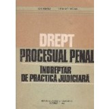 Drept procesual penal - Indreptar de practica judiciara