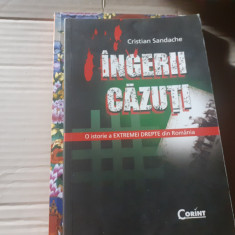 INGERII CAZUTI - O ISTORIE A EXTREMEI DREPTE DIN ROMANIA -CRISTIAN SANDACHE 2010