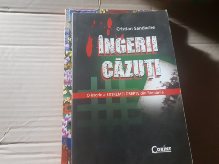 INGERII CAZUTI - O ISTORIE A EXTREMEI DREPTE DIN ROMANIA -CRISTIAN SANDACHE 2010