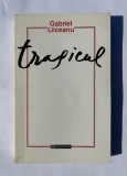 Tragicul - Gabriel Liiceanu