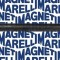 MAGNETI MARELLI 302004190013 Planetara