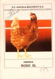HIBRIDUL ROSO SL-Colectiv de autori-364383