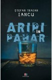 Aripi in pahar - Stefan Traian Iancu