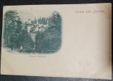 Carte postala, necirculata, Sinaia Castelul Peles, inceput de secol XX