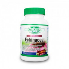 Echinacea fortificata - 500 mg - 90 capsule foto