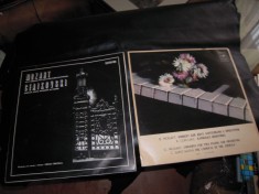 LOT de 2 discuri vinil cu muzica clasica in stare BUNA foto