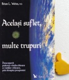 Acelasi suflet, multe trupuri Brian Weiss