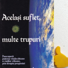 Acelasi suflet, multe trupuri Brian Weiss