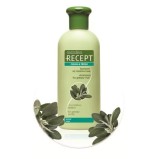 Subrina Professional Recept Clean Fresh - Sampon pentru Par Gras, 400ml