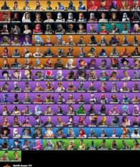 Cont Fortnite 171 skins, plata paysafe discord: dragosgsp