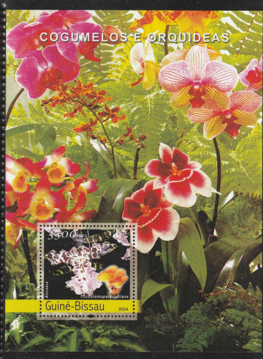 Guinea-Bissau 2004-Flora,Orhidee,colita dant.,MNH,Mi.Bl.458