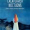 Calatoarea nocturna. G&acirc;nduri despre experiența &icirc;mbătr&acirc;nirii &ndash; Laure Adler