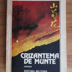 Feng Deying - Crizantema de munte