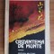 Feng Deying - Crizantema de munte