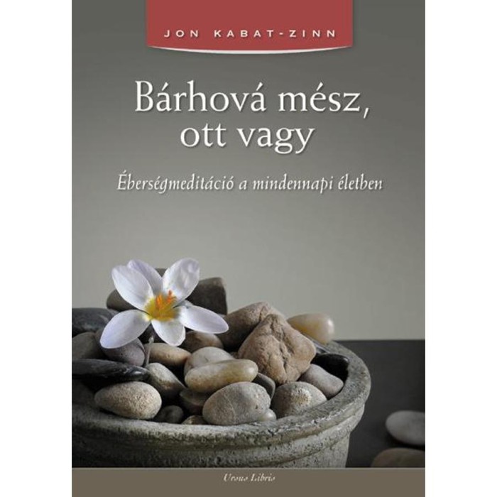 B&aacute;rhov&aacute; m&eacute;sz, ott vagy - &Eacute;bers&eacute;gmedit&aacute;ci&oacute; a mindennapi &eacute;letben - Jon Kabat-Zinn
