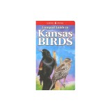 Compact Guide to Kansas Birds