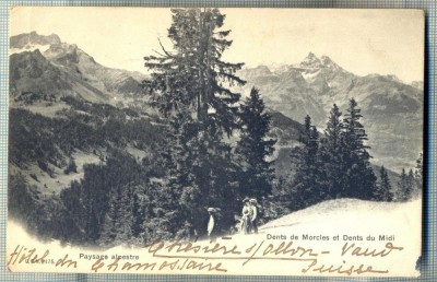AD 393 C. P. VECHE-PAYSAGE ALPESTRE -CIRC.1906-CATRE ANNA PENCOVICI-BUCURESTI foto