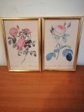 Pereche tablou plansa botanica in rama trandafiri art print Rosa PIERRE JOSEPH REDOUTE Imprimeria de Remond